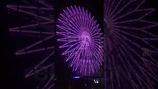 50m Ferris Wheel