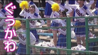 チアガールダンスがぐう可愛い！超進学校の野球部応援2019甲子園地方予選