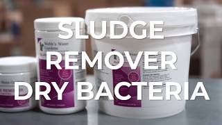 Webb's Sludge Remover Dry Bacteria