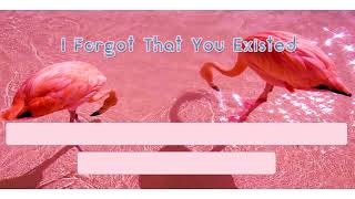 I Forgot That You Existed - Taylor Swift (thai sub)
