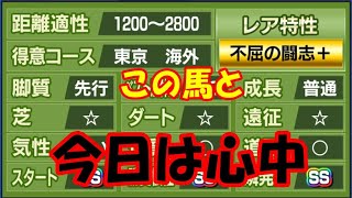 中年のスタポケ＋でのＹｏｕＴｕｂｅライブでのボヤキvo.149(馬産オンリーの配信の巻)