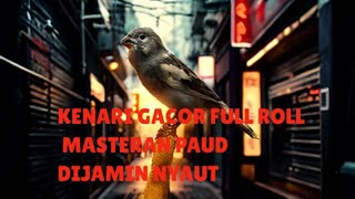 Masteran kenari ROLL GACOR DURASI 1jam TEMBAKAN PANCINGAN BUAT PAUD