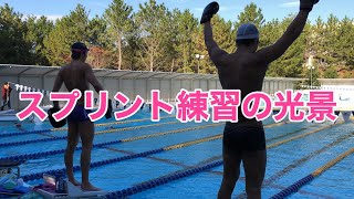 【水泳】ある日のスプリントの練習