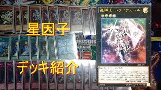 遊戯王 星因士(テラナイト) デッキ紹介 改良版 ※音ズレあり