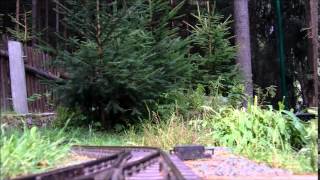 Die Fichtelbergbahn im Kleinen Erzgebirge