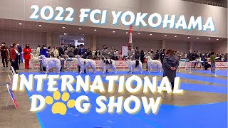 2022 FCI Yokohama International Dog Show FCI横浜インターナショナルドッグショー