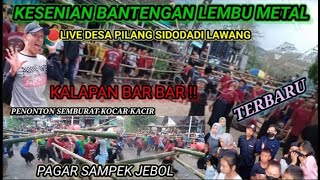 KALAPAN BAR BAR, SAMPEK JEBOL PAGAR PEMBATAS || BANTENGAN LEMBU METAL || LIVE DESA PILANG SIDODADI..