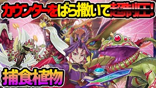 【#遊戯王】環境レベルの超強化！ペンデュラムも出来る!?『プレデタープランツ』対戦動画！【#デュエダン】【捕食植物】