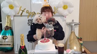 생일날 강아지와 무조건 하루종일 같이 보내야 되는 이유ㅋㅋㅋ