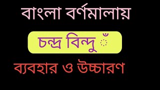 বাংলা বর্ণমালায় চন্দ্র বিন্দু ঁ এর ব্যবহার ও উচ্চারণ @viewbanglish