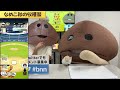 【 bnn】ボールナメコニッポン花菌 第49回「なめこ秋の収穫祭」