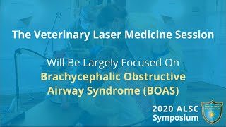 Veterinary Laser Surgery Event - ALSC 2020 Symposium