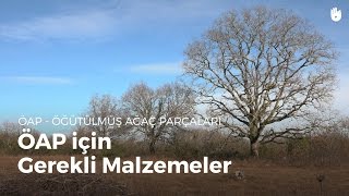 Öğütülmüş Ağaç Parçaları için Malzemeler