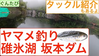 碓氷湖紹介❗️【ヤマメフィッシング】