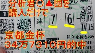 ２０１６年　シンザン記念予想　（京都金杯４２万円払い戻し動画、レース回顧動画付）