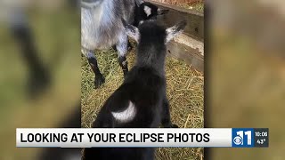 WATCH: KKTV 11 News viewers share solar eclipse photos and videos!