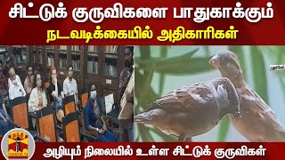 அழியும் நிலையில் உள்ள சிட்டுக் குருவிகள் - சிட்டுக் குருவிகளை பாதுகாக்கும் நடவடிக்கையில் அதிகாரிகள்