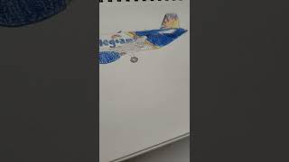 allegiant air a321 drawing