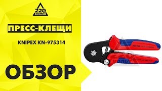 Обзор Пресс-клещи KNIPEX KN-975314