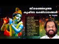 തിരഞ്ഞെടുത്ത കൃഷ്ണ ഭക്തിഗാനങ്ങള്‍ | Selected Lord Krishna Songs | കെ.ജെ. യേശുദാസ് | KJ Yesudas