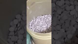 High speed tablet pill medicine powder pressing making production machine factory video