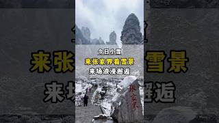 来张家界看雪景啦 #张家界 #旅行