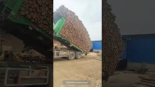 Process Of Dump Truck Unloading 45CBM Wood !