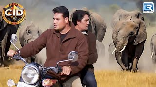 Officer Daya और Abhijeet के पीछे लग गए जब इतने सारे हाथी | Latest EP | Full Episode | Best Of CID