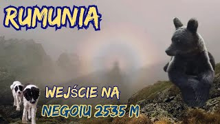 Rumunia - Wejście na Negoiu - Trasa transfogarska i niedźwiedzie | Widmo Brockenu