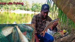 river fishing | rohu fishing | shimsha river fishing | 6 hook fishing