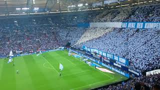 Blau und Weiß, Schalke 04 Vereinshymne - live im Stadion