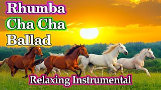 Relaxing Music Beautifies the Soul & Reduces Stress, New Rhumba Cha Cha Instrumental Relaxing Music