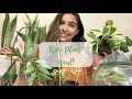 Rare Wishlist Plant Haul! | Hoya & Philodendron + Unicorn Plant Party! 🦄