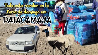 ¿Conviene ir DOMINGO a la feria de PATACAMAYA?