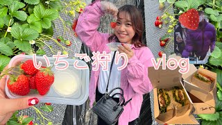 【Vlog】念願のいちご狩りデート❗️🍓💕