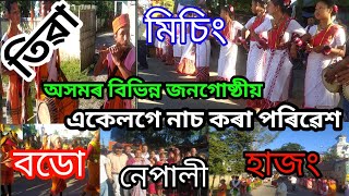 অসমৰ বিভিন্ন জনগোষ্ঠী একেলগে এখনত ঠাইত নিত্যৃ পৰ্দখন / All Assam people culture together