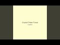 Crystal Ember Forest