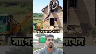 সাপের কান্ড দেখেন