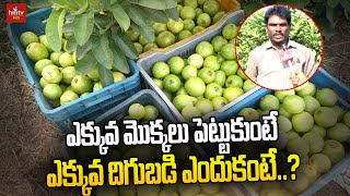 ఎక్కువ మొక్కలు పెట్టుకుంటే ఎక్కువ దిగుబడి ఎందుకంటే ? | hmtv Agri