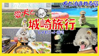 【犬と泊まれる宿】リゾートホテル レイセニット城崎スイートVILLAに愛犬トルテと泊まってみた🐶👙海、プール、花火、但馬牛、温泉🍖満喫in城崎温泉(トイプードルのTorte channel）