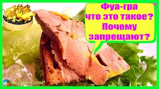 Фуа-гра - что это такое? Почему запрещают?