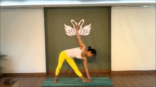 류지혜의 아쉬탕가 요가 Ashtanga Vinyasa Yoga Primary Series Demonstration