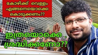 കോഴികൾക്ക് വെള്ളം എങ്ങനെയൊക്കെ കൊടുക്കണം? How to drink Poultry chicks properly. very imp onlineclass