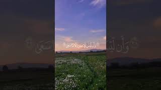 سورة النجم - ناصر القطامي ( وان ليس للإنسان الا ما سعى)