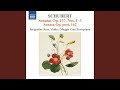 Violin Sonata (Sonatina) in G Minor, Op. 137, No. 3, D. 408: II. Andante