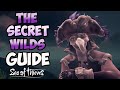 Sea of Thieves: The Secret Wilds Adventure: GUIDE + Mementos