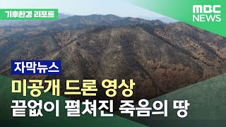 [기후환경리포트-자막뉴스] 죽음의 숲으로 변한 울진 산불 현장. 드론으로 보면 더 충격적이다. (2022.04.18/MBC뉴스)