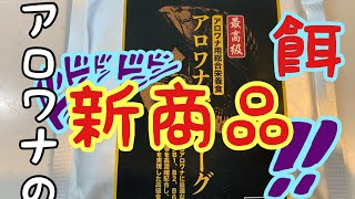 アロワナの餌　新商品登場‼　アロワナハンバーグ　アロワナ専門店　アロワンさん