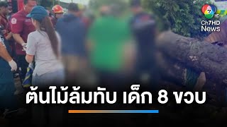 สลด พายุถล่ม ต้นไม้ล้มทับ เด็ก 8 ขวบ เสียชีวิต | เช้านี้ที่หมอชิต