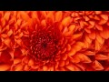 112 So Much Love (Interlude)